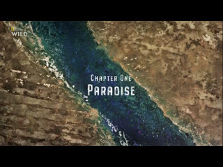 okavango: the river of dreams - paradise | 1 episode of 3 | 2019 | hd 1080